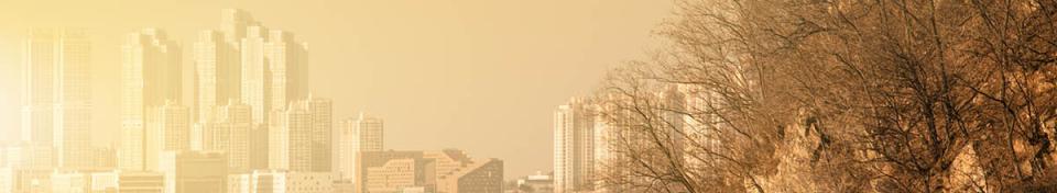 grattacieli di una città a sinistra e cespugli secchi a destra, smog